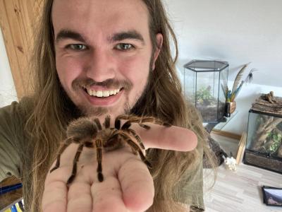 Mikkel Sortemos med fugleedderkop