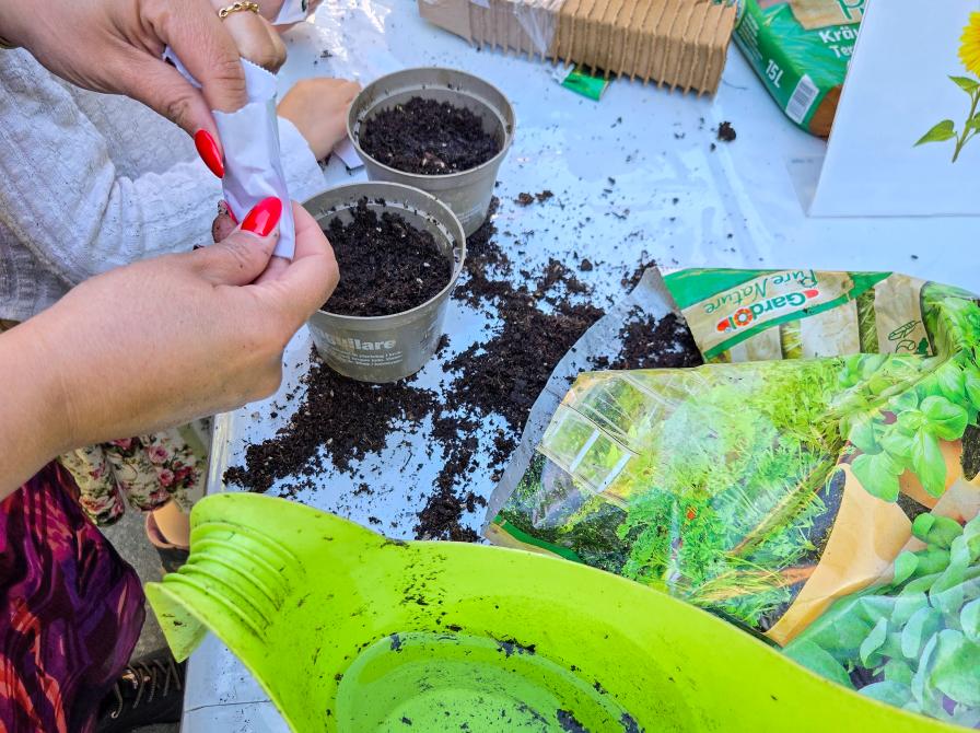 Plantebord under Havedagen i foråret